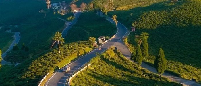 tingling view point