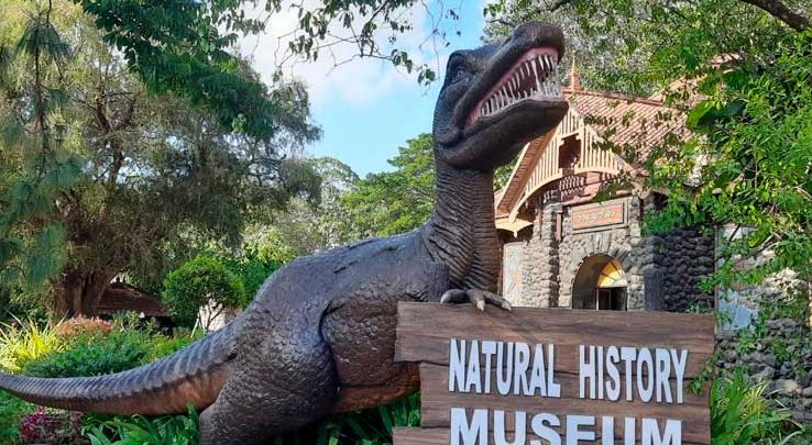 trivandrum day tours