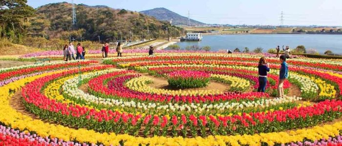 tulip garden srinagar