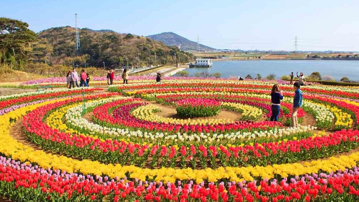tulip garden srinagar