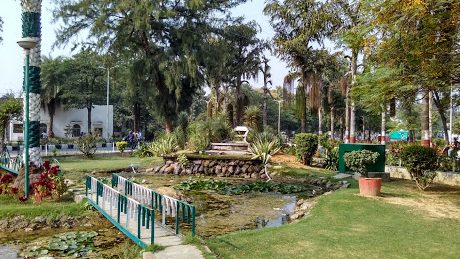 university triangle duck pond university island