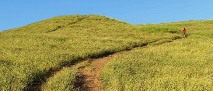 vantage point sharayu park 1