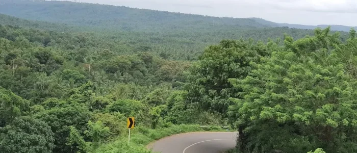 vattaparamba churam view point