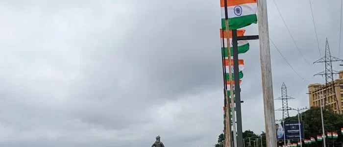 vip road view point
