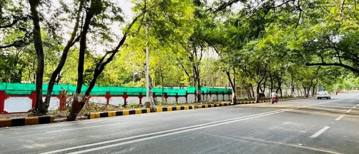 walkers street seminary hills