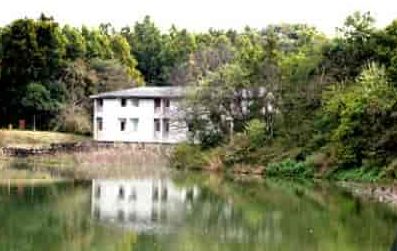 wildlife institute lake 1