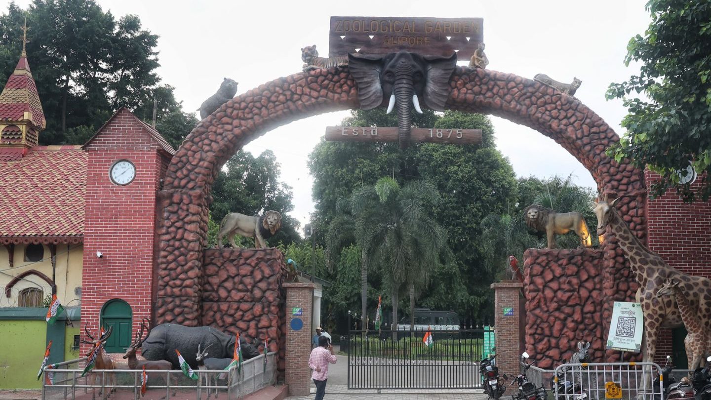 zoological garden alipore